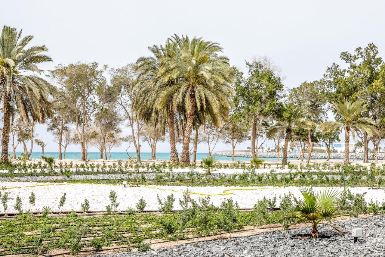 Dhafra Beach Hotel Jebel Dhanna Exterior foto